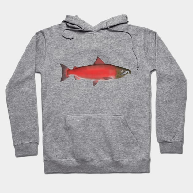 Coho Salmon - Spawn Phase Hoodie by FishFolkArt